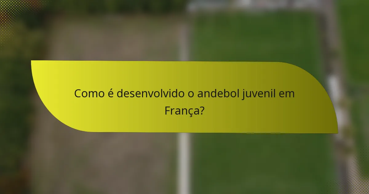 Como é desenvolvido o andebol juvenil em França?