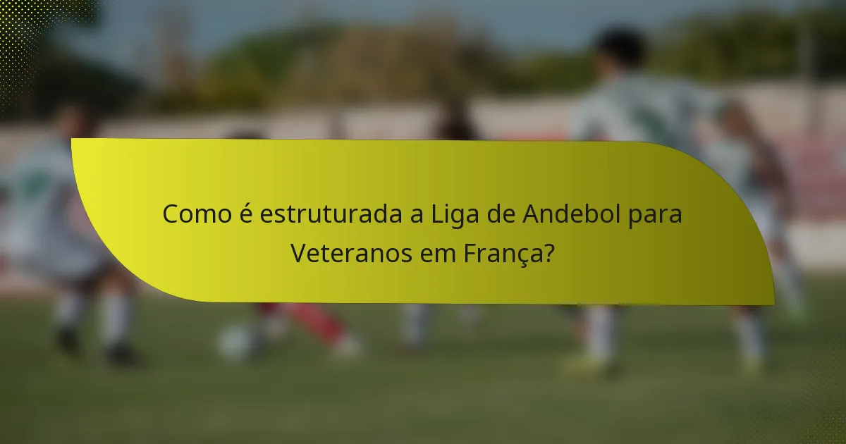 Como é estruturada a Liga de Andebol para Veteranos em França?