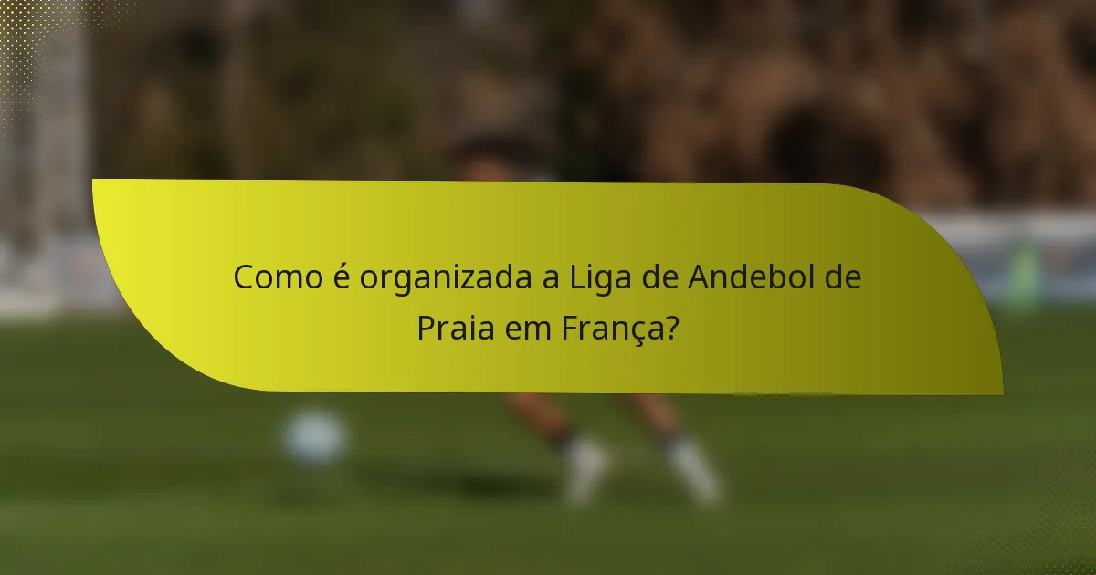 Como é organizada a Liga de Andebol de Praia em França?