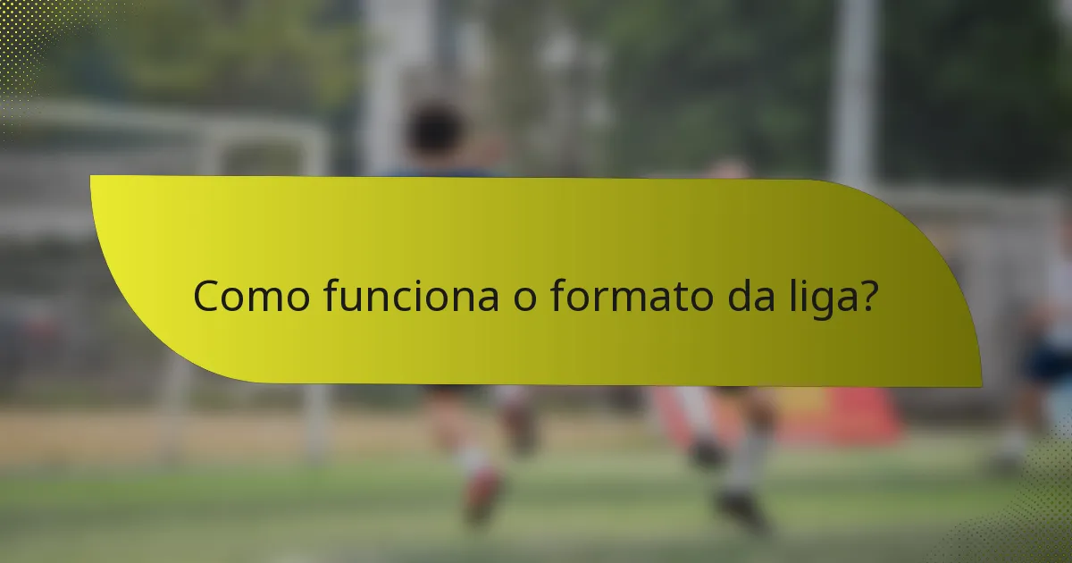 Como funciona o formato da liga?