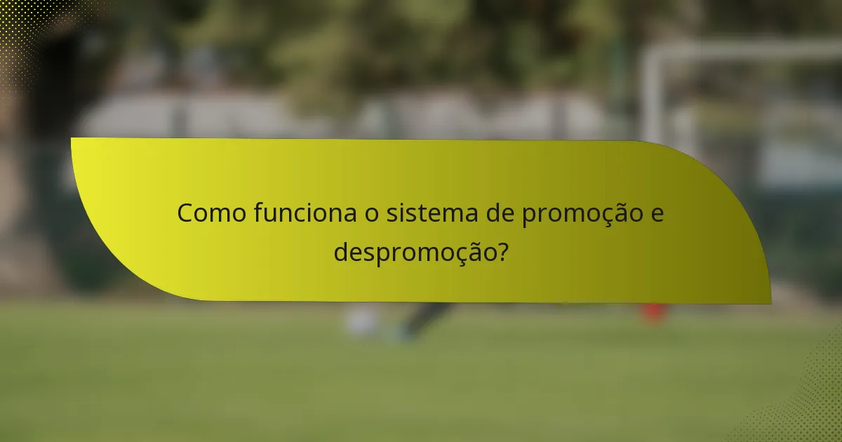 Como funciona o sistema de promoção e despromoção?