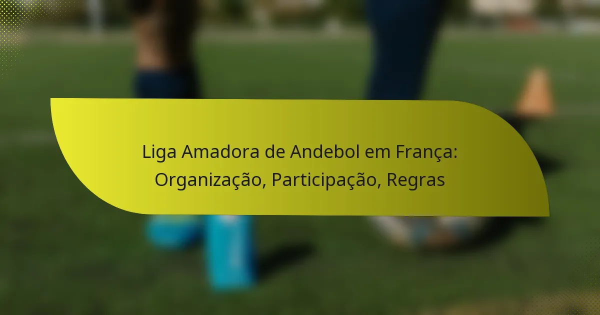 Liga Amadora de Andebol em França: Organização, Participação, Regras