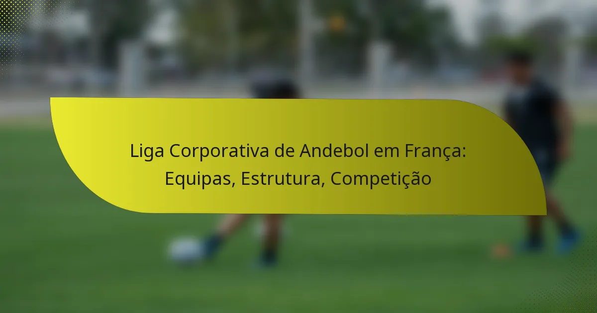 Liga Corporativa de Andebol em França: Equipas, Estrutura, Competição