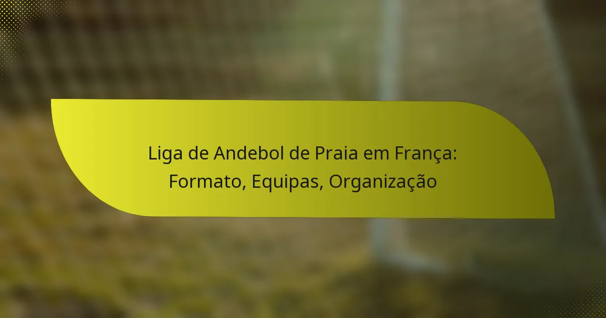 Liga de Andebol de Praia em França: Formato, Equipas, Organização