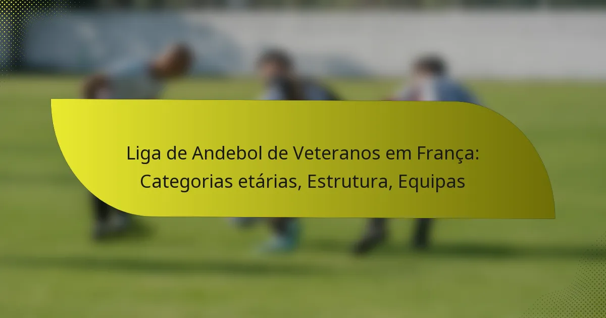 Liga de Andebol de Veteranos em França: Categorias etárias, Estrutura, Equipas
