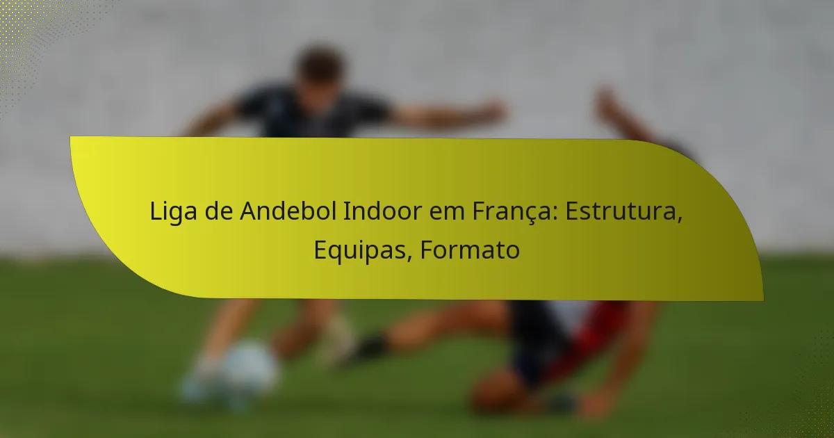 Liga de Andebol Indoor em França: Estrutura, Equipas, Formato