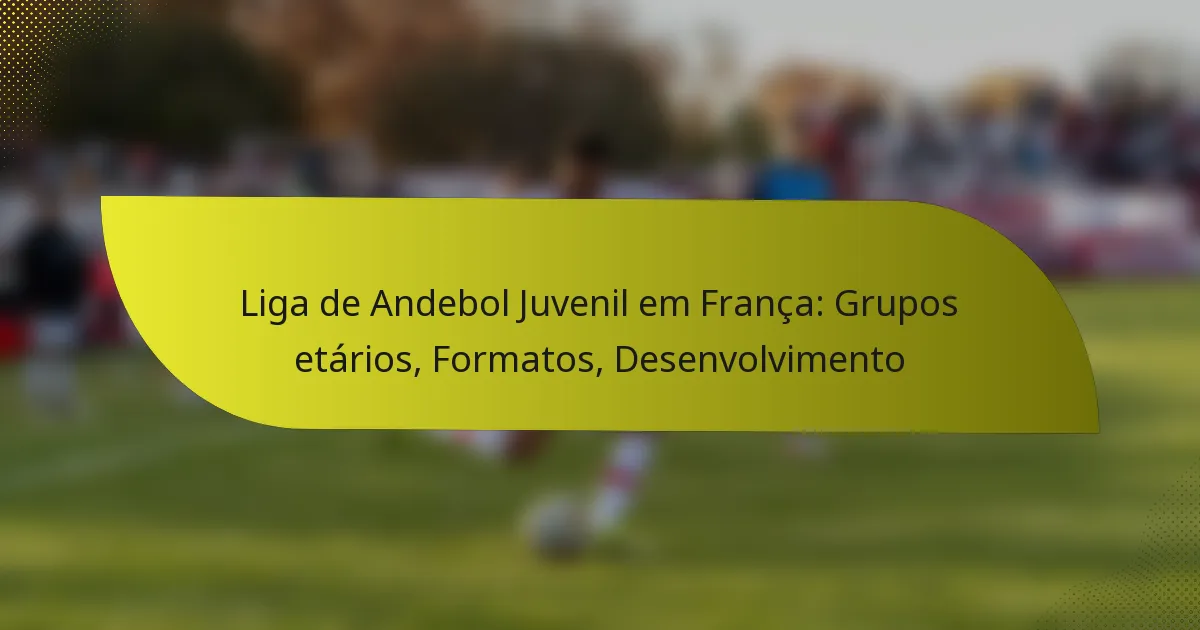 Liga de Andebol Juvenil em França: Grupos etários, Formatos, Desenvolvimento
