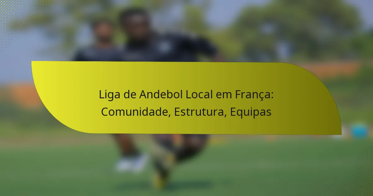 Liga de Andebol Local em França: Comunidade, Estrutura, Equipas