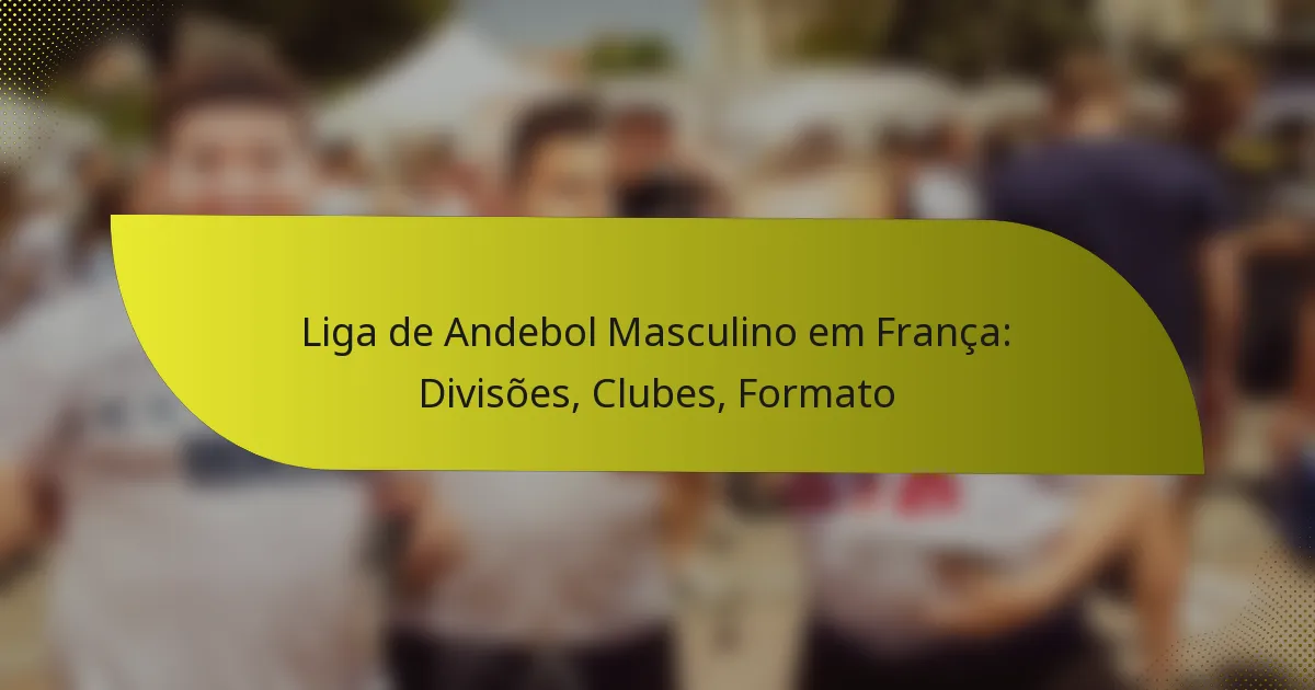 Liga de Andebol Masculino em França: Divisões, Clubes, Formato