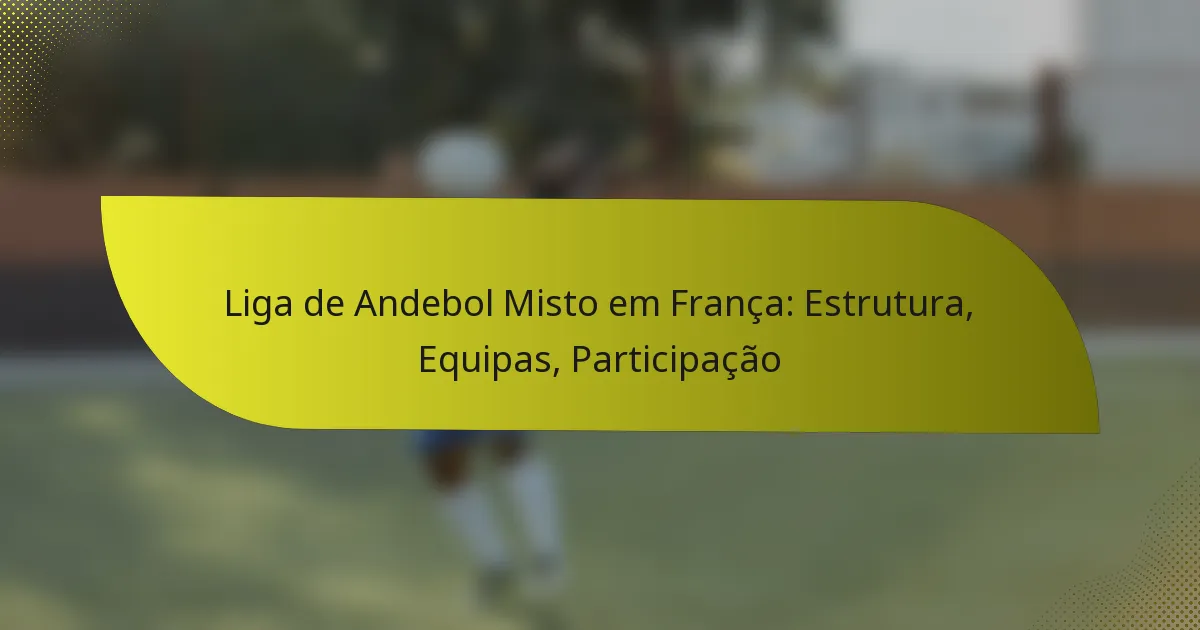 Liga de Andebol Misto em França: Estrutura, Equipas, Participação