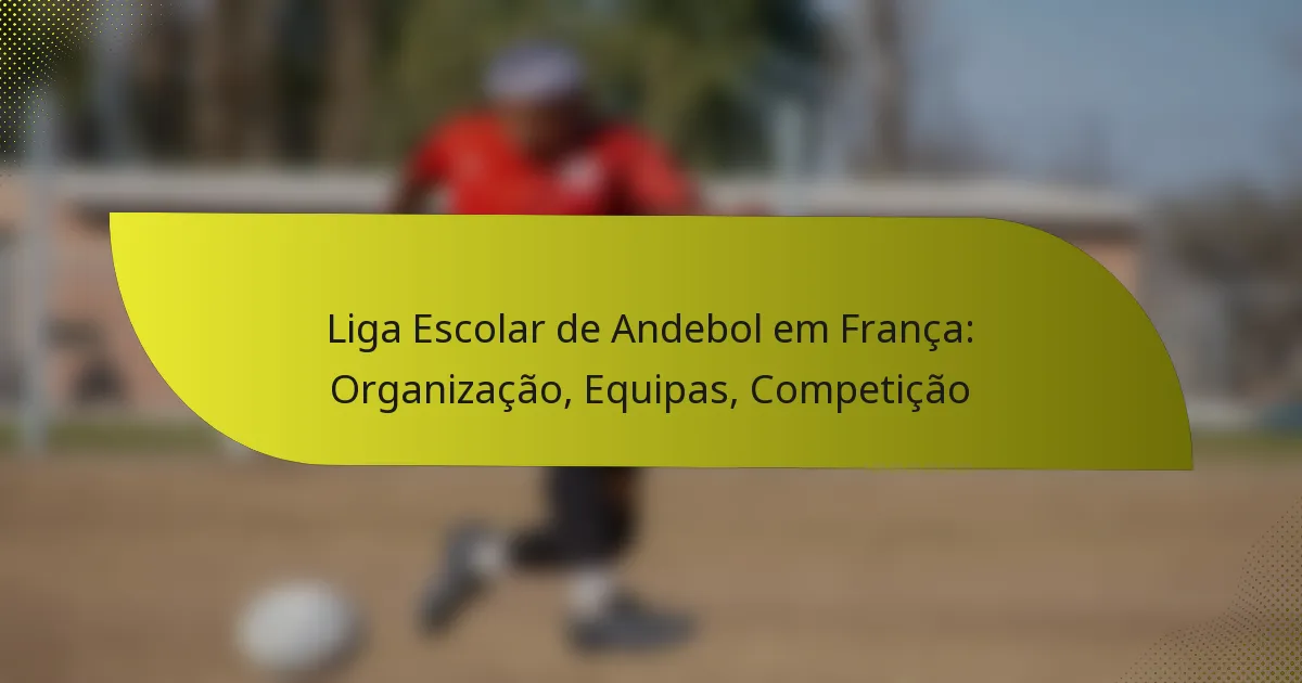 Liga Escolar de Andebol em França: Organização, Equipas, Competição