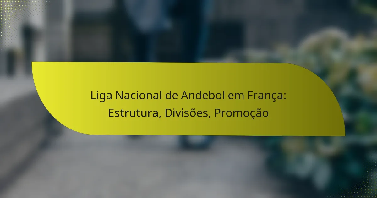 Liga Nacional de Andebol em França: Estrutura, Divisões, Promoção