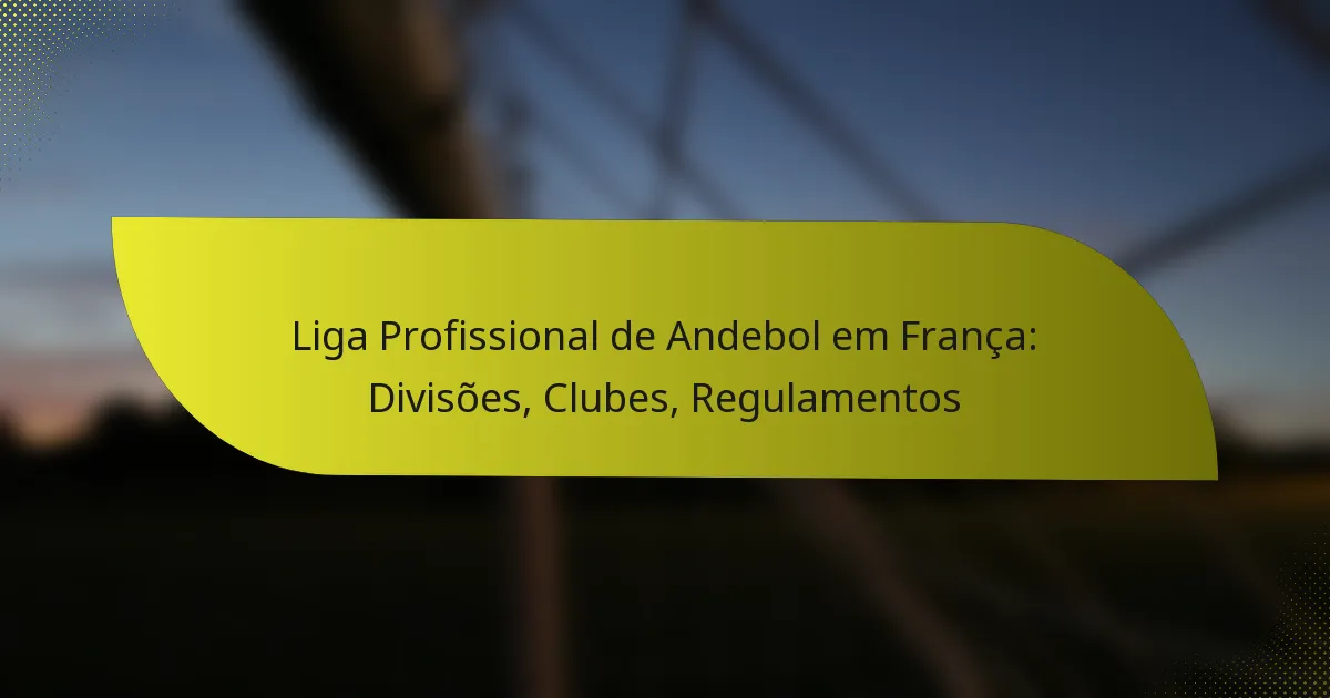 Liga Profissional de Andebol em França: Divisões, Clubes, Regulamentos