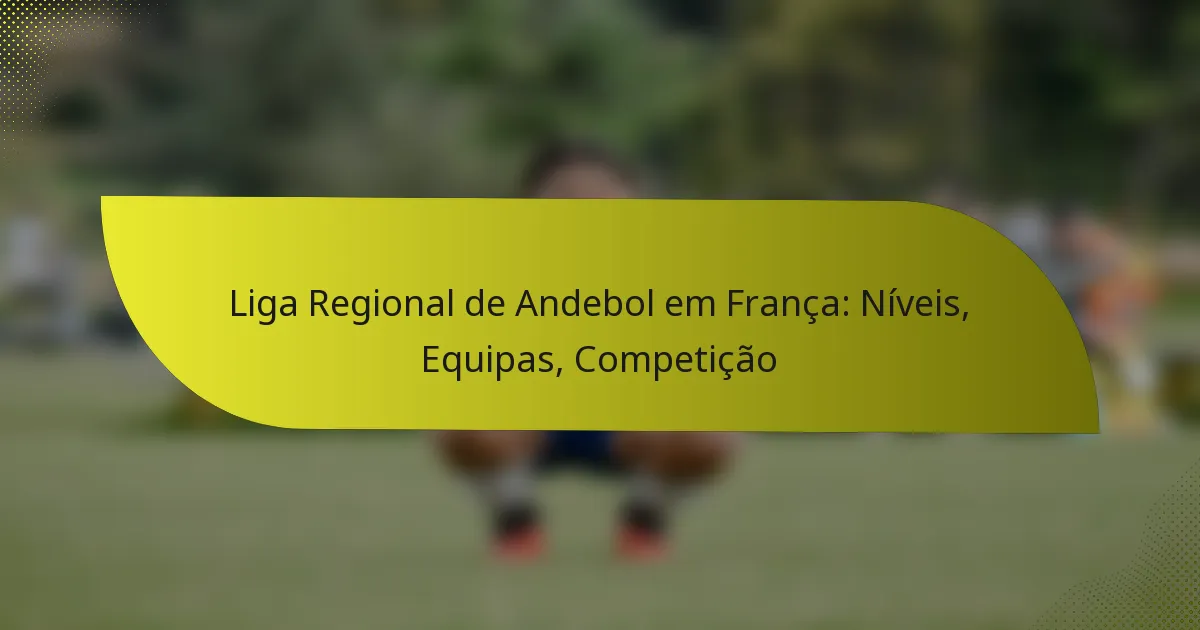 Liga Regional de Andebol em França: Níveis, Equipas, Competição