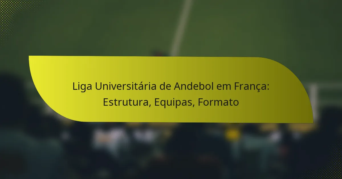 Liga Universitária de Andebol em França: Estrutura, Equipas, Formato