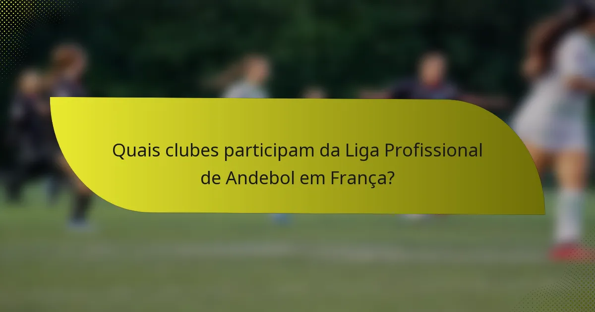 Quais clubes participam da Liga Profissional de Andebol em França?