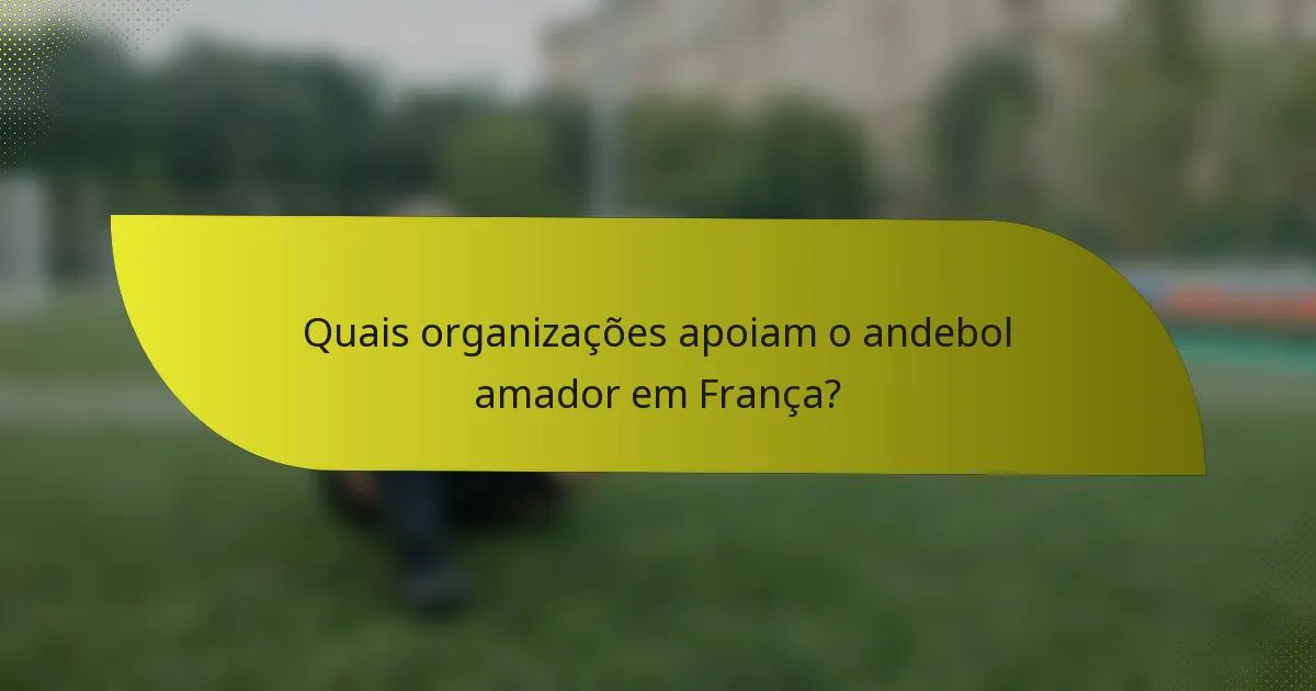 Quais organizações apoiam o andebol amador em França?