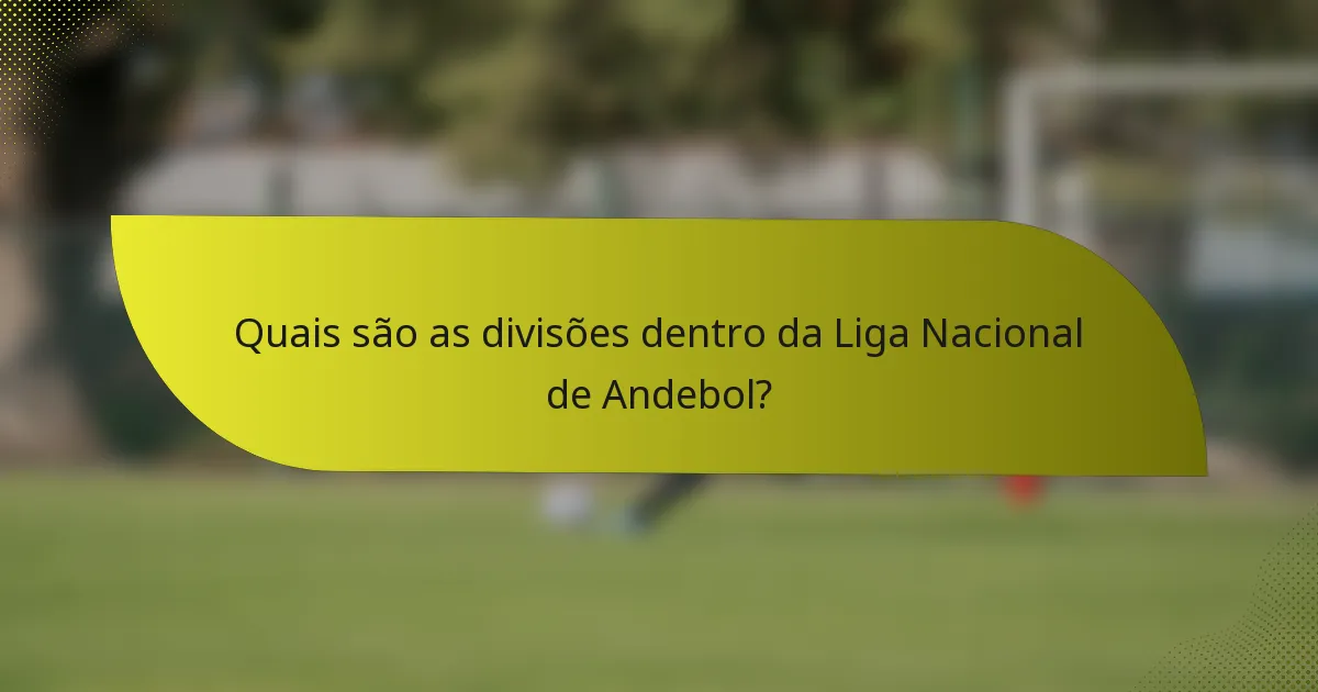 Quais são as divisões dentro da Liga Nacional de Andebol?