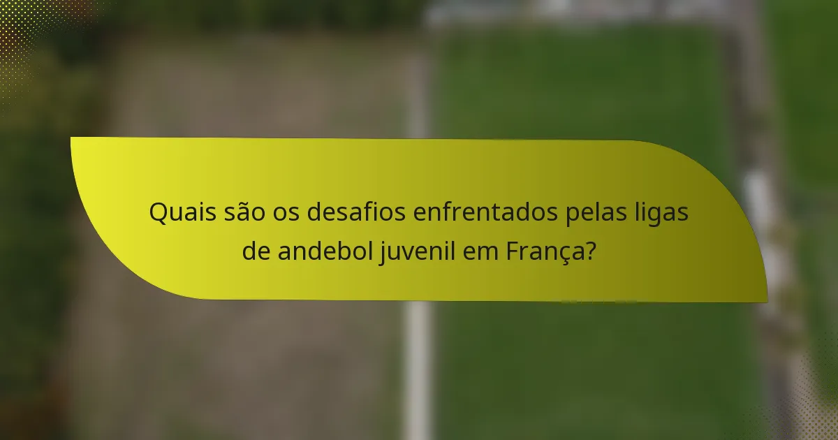 Quais são os desafios enfrentados pelas ligas de andebol juvenil em França?