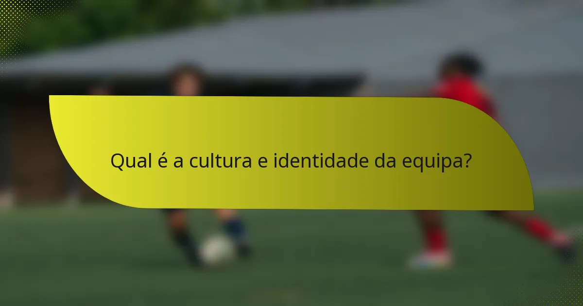 Qual é a cultura e identidade da equipa?