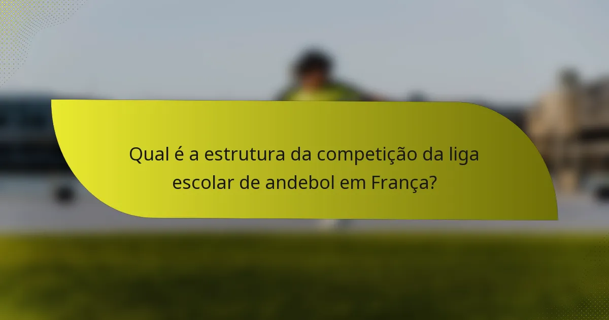 Qual é a estrutura da competição da liga escolar de andebol em França?